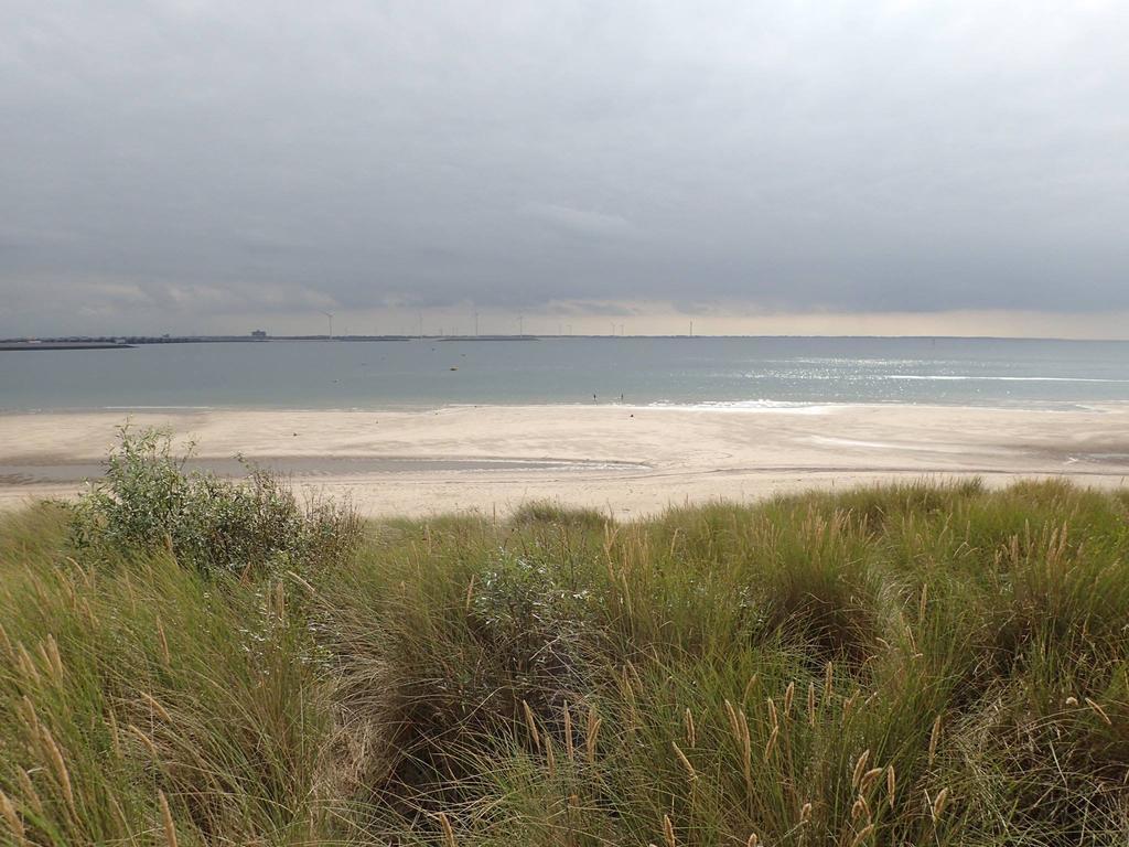 La Casa Aan Zee Lejlighed Ellemeet Eksteriør billede