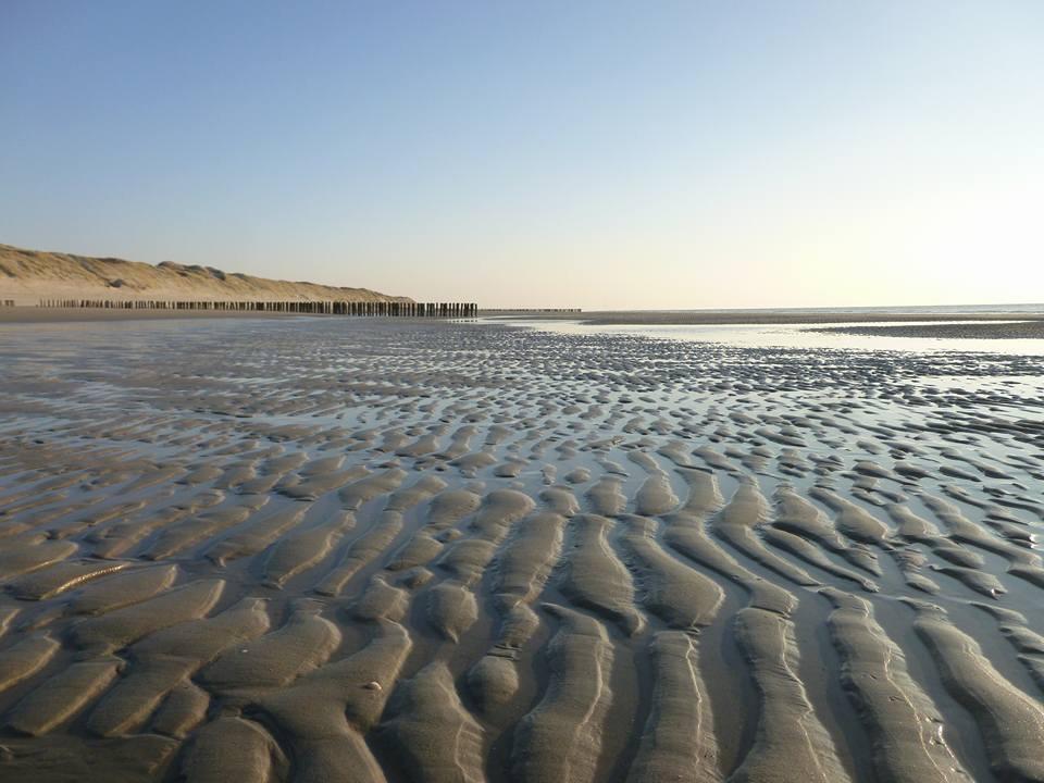 La Casa Aan Zee Lejlighed Ellemeet Eksteriør billede