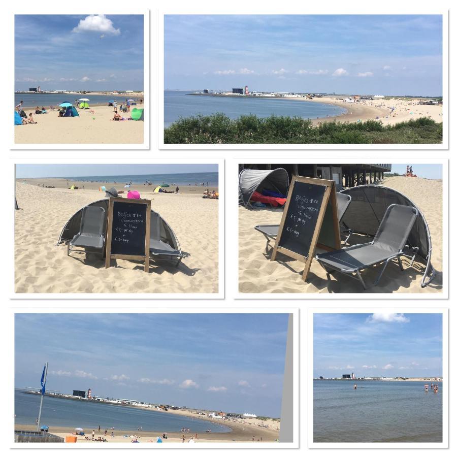 La Casa Aan Zee Lejlighed Ellemeet Eksteriør billede
