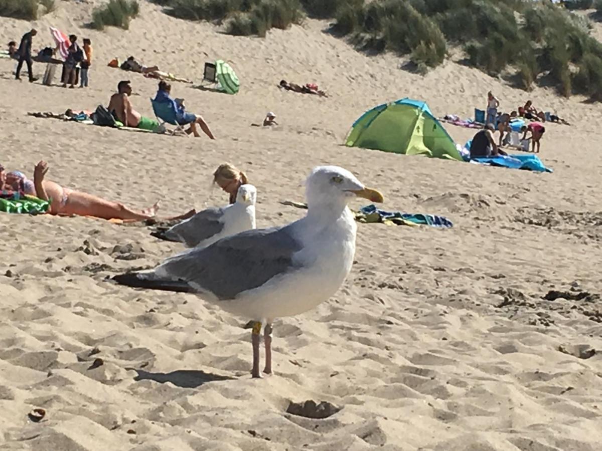 La Casa Aan Zee Lejlighed Ellemeet Eksteriør billede